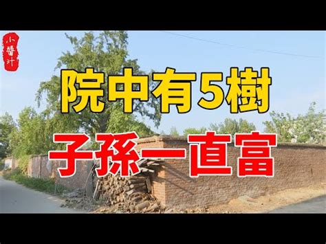 桃樹 風水|【桃花樹 風水】桃花樹風水大全：門口種桃花樹的好處與禁忌一。